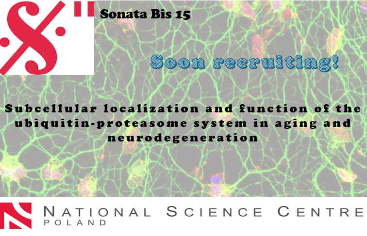 New Funded Project to Decode Proteasome Failure in Neurodegeneration